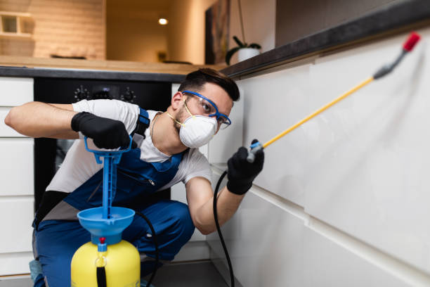 Best Pest Prevention Services  in Benton Park, CA