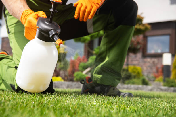 Best Pest Control Near Me  in Benton Park, CA