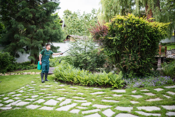 Best Exterminator Services  in Benton Park, CA