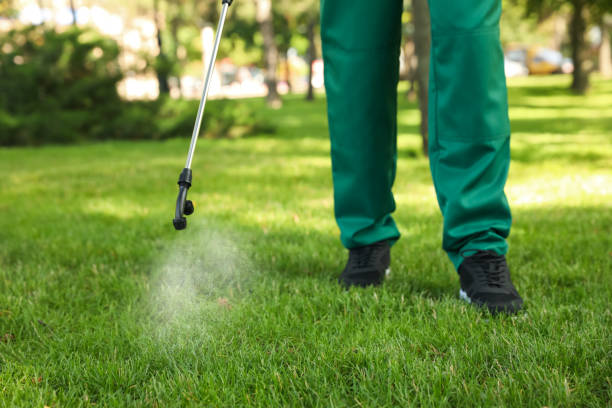 Reliable Benton Park, CA Pest Control Solutions