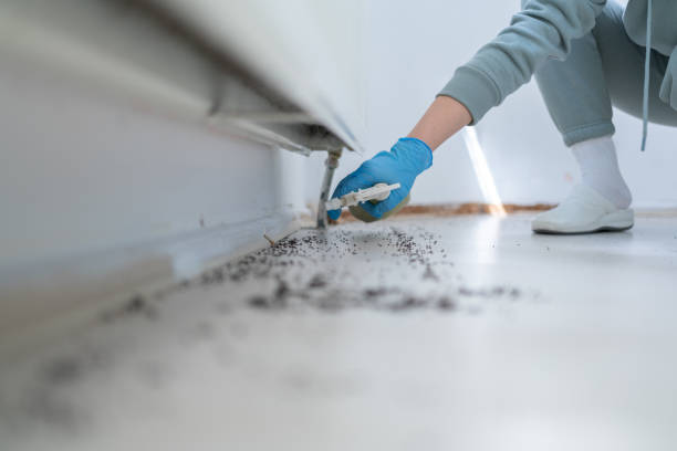 Best Pest Control for Businesses  in Benton Park, CA